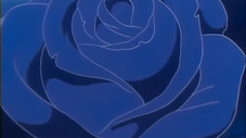 Des roses noires pour la Reine