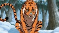 A Batalha Contra o Grande Tigre! Quem Será o Capitão?!