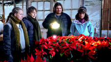 Épisode 11