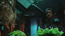 La guerre des salades