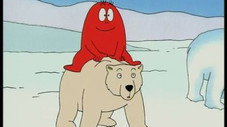 Le Pôle Nord - L'ours polaire