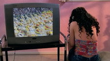 Épisode 36