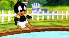 Comme un canard dans l'eau