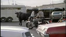 Country Action
