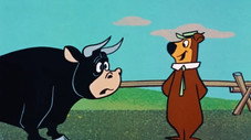 Le Taureau Recalcitrant (Yogi L'Ours)