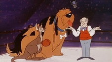 Le Kangourou Et Dinky