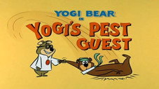 Yogi's Pest Guest