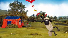 Le cerf volant