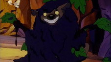 La loi de la jungle