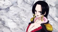 História Paralela! Confronto! Luffy vs. Rei da Carbonação!