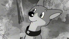 Épisode 41