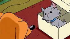 Cat Mother