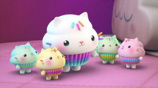 Cakey’s Cupcake Cousins