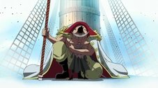 O Estrategema de Akainu! O Barba Branca Traído!