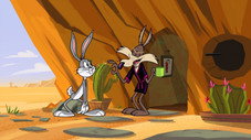 Dans l'antre du Coyote