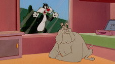 Épisode 6
