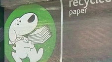 Le papier : il n'a pas toujours la fibre écologique