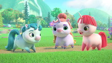 Épisode 10