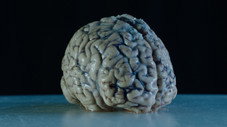 Quels sont les pouvoirs de la pensée ?