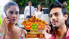 Épisode 5