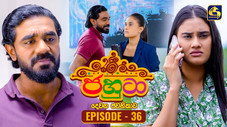 Épisode 36