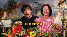 Épisode 3