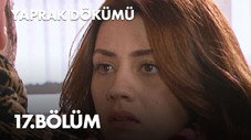 Épisode 17