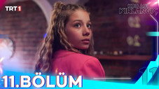 Épisode 11