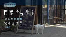 Épisode 42