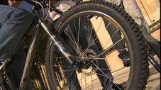 Roller, skate et BMX : comme sur des roulettes !
