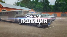 Épisode 10