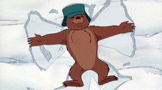 Petit-Ours n'a rien a se mettre