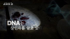 Épisode 8
