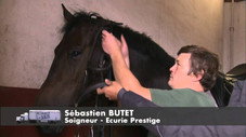 Le Cadre noir : les sorciers montent sur leurs grands chevaux