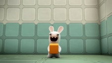 Expérience lapin n° 98003-c : le cube
