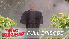 Épisode 9