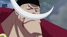 Rumo à Fase Final! O Ás na Manga para a Virada do Barba Branca!