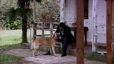 Épisode 10