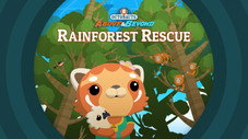 The Rainforest Rescue