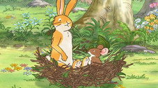 The Nest
