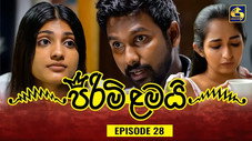 Épisode 28