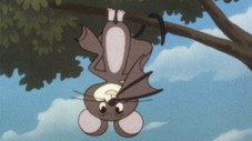 La première chauve-souris