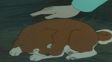 Épisode 23