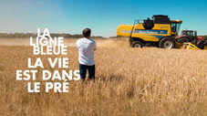 La vie est dans le pré