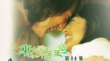 Épisode 14