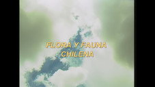 Épisode 12