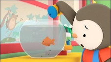 Le poisson rouge broie du noir