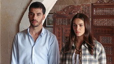 Épisode 7