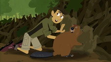Épisode 8