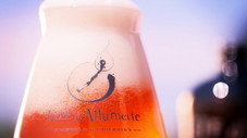 Tête d'Allumette